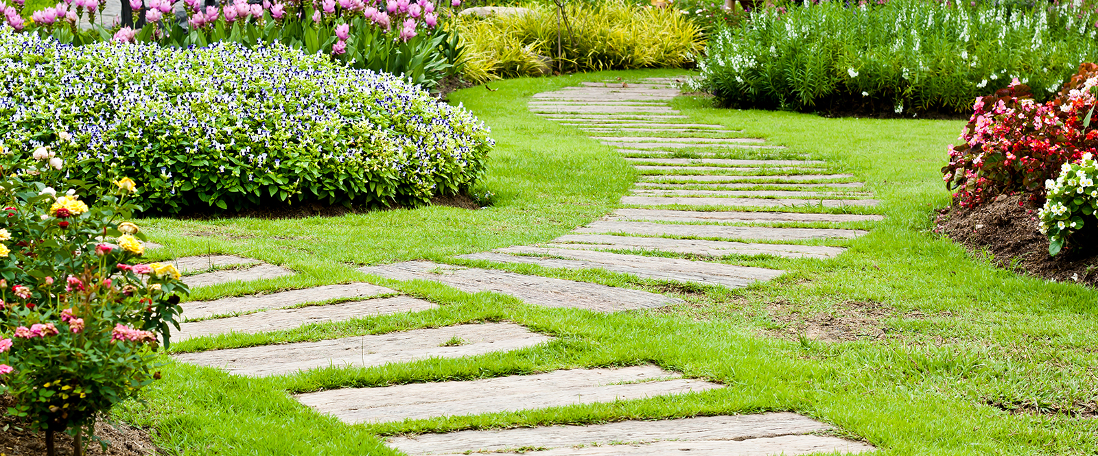 Landscaping Companies in Dubai | Landscape Contractors UAE