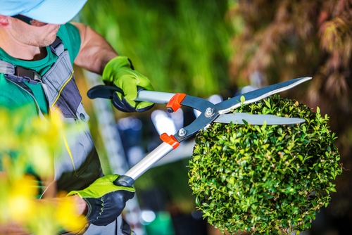 Gardening Companies in Dubai | Garden Maintenance Dubai