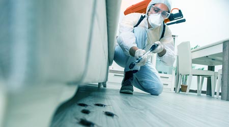 pest control tips