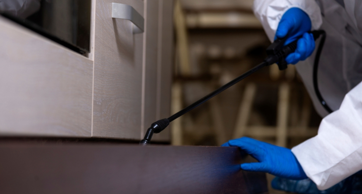 Effective Pest Control
