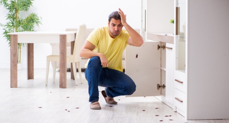 A person Irritated by Pest Infestation